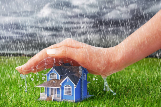 Untitled design (19)